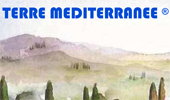 Terre Mediterranne - Resine innovative ad alta qualità per pavimenti e superfici